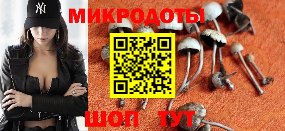 Галлюциногенные грибы Cubensis  Галлюциногенные грибы мухоморы  Камышлов  Вход с VPN 